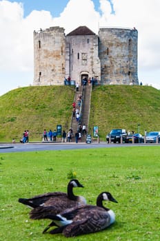 York, United Kingdom - August 9, 2014