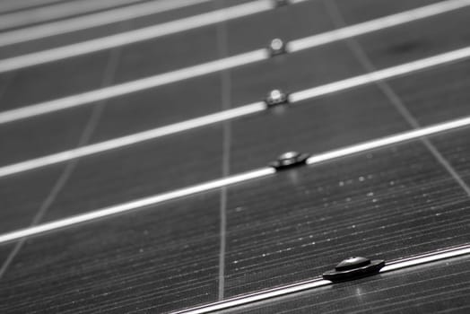 A low angle view in black and white of a solar pannel as it stretches away from the camera in to the distance.