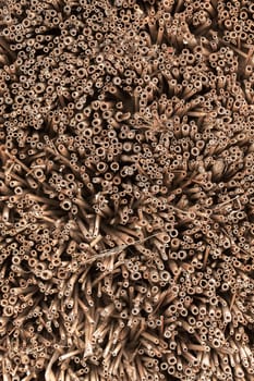 Detailed view of an insect hotel - loopholes as background texture