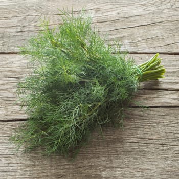 Green dill on a rustic table