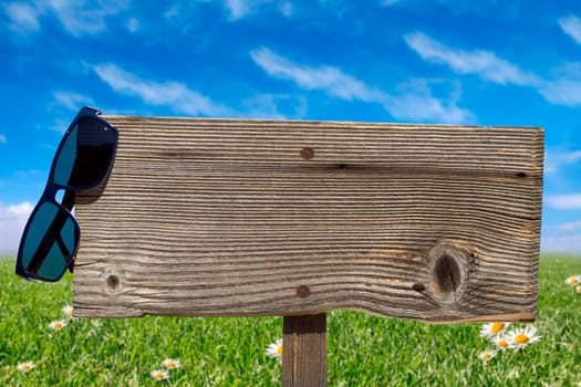 Empty wooden sign with sunglasses in front of green landscape