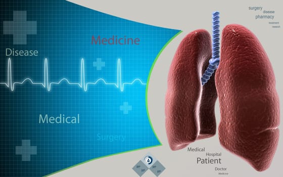 Digital illustration of human lungs in colour background