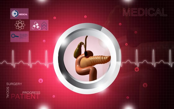 Digital illustration of pancreas in color background