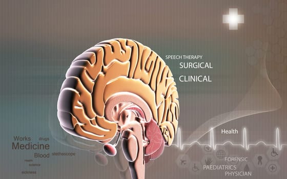 Digital illustration of brain in colour background