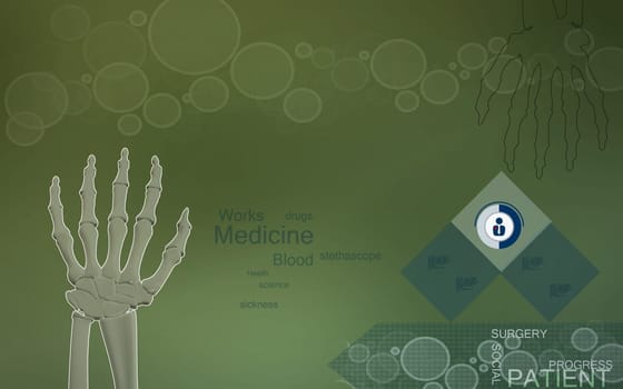 Digital illustration of hand bone in colour background