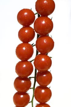 Cocktailtomaten, Cherry-Tomaten, Kirschtomaten