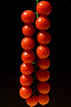 Cocktailtomaten, Cherry-Tomaten, Kirschtomaten
