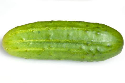 Gurken  Cumumis, sativus