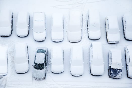 Parked cars covered with snow