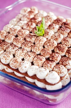 Homemade cheesecake with cocoa