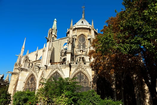 Notre Dame from Square du Jean XXIII, Paris