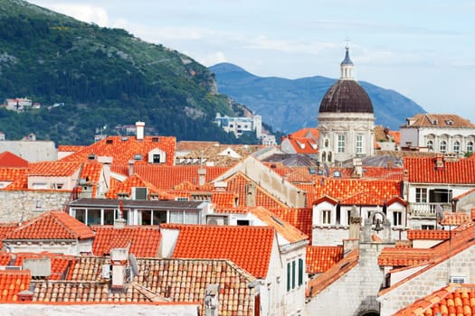 Fortress of Dubrovnik on the Adriatic Sea