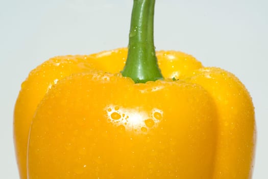 Peppers  Capsicum  annuum  Paprikaschote