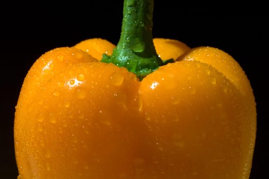 Peppers  Capsicum  annuum  Paprikaschote