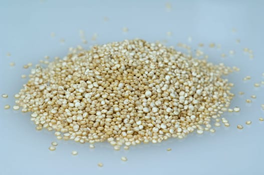 Quinoa  chenopodium
