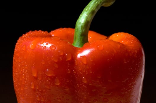 Peppers  Capsicum  annuum  Paprikaschote