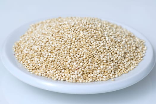 Quinoa  chenopodium