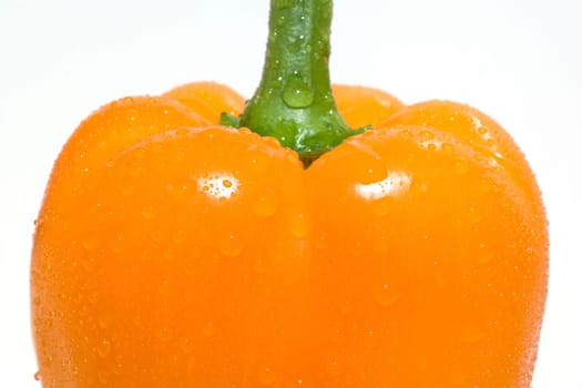 Peppers  Capsicum  annuum  Paprikaschote