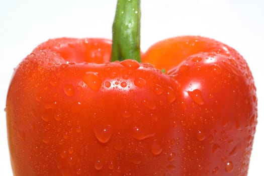 Peppers  Capsicum  annuum  Paprikaschote