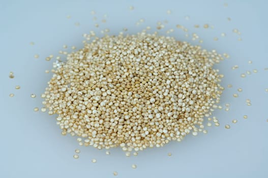 Quinoa  chenopodium