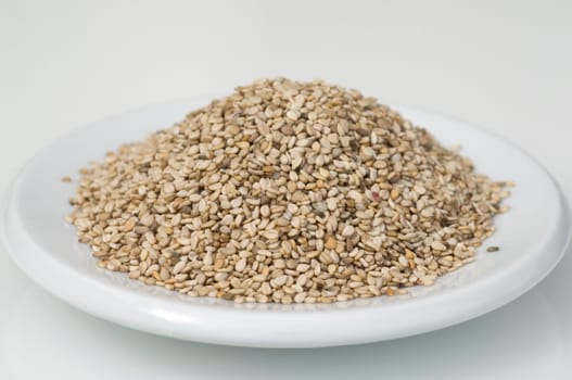 Sesamsamen  Sesam  Sesamum indicum