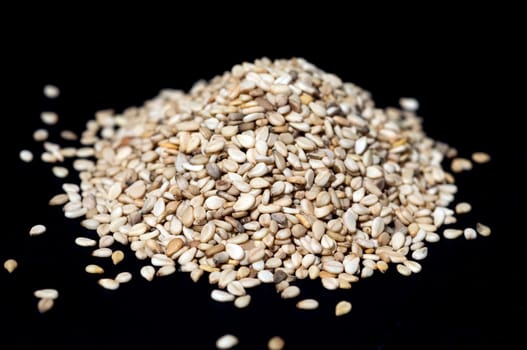 Sesamsamen  Sesam  Sesamum indicum