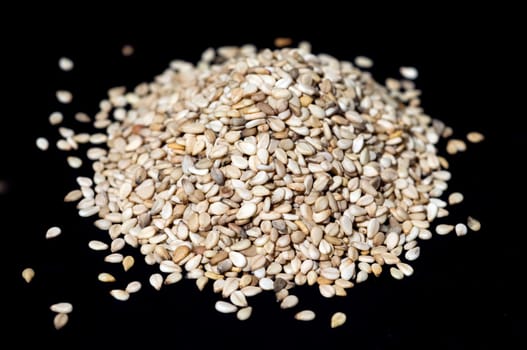 Sesamsamen  Sesam  Sesamum indicum