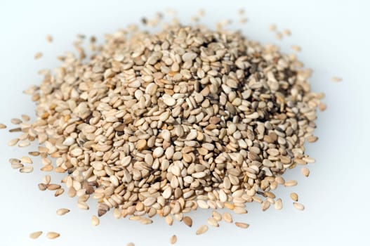 Sesamsamen  Sesam  Sesamum indicum