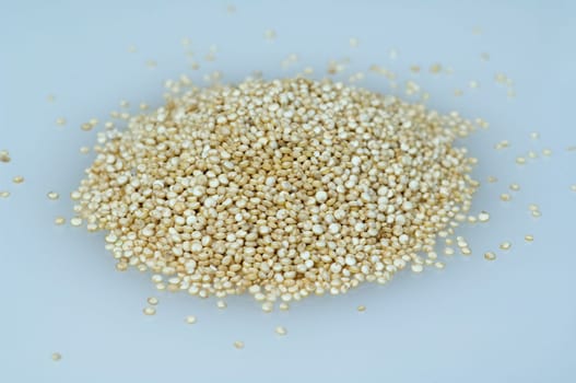 Quinoa  chenopodium