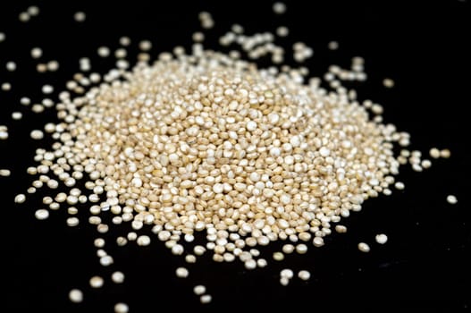 Quinoa  chenopodium