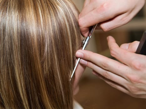Cutting hair at the hair salon