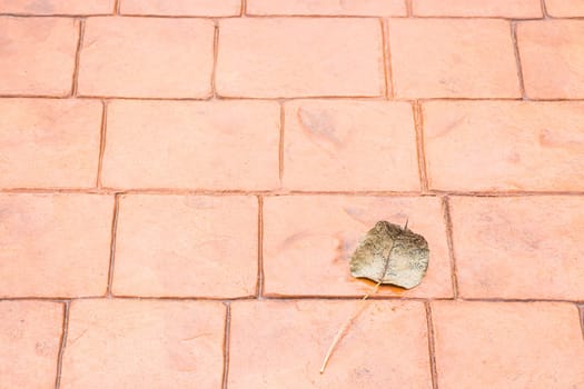 Bodhi or pho leaf dry on brick floor, stock photo