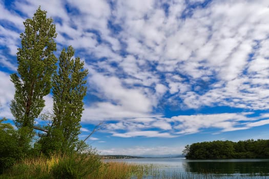 Evening atmosphere at Lake Hallwil