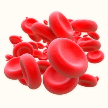 Red blood cells in isolated view.