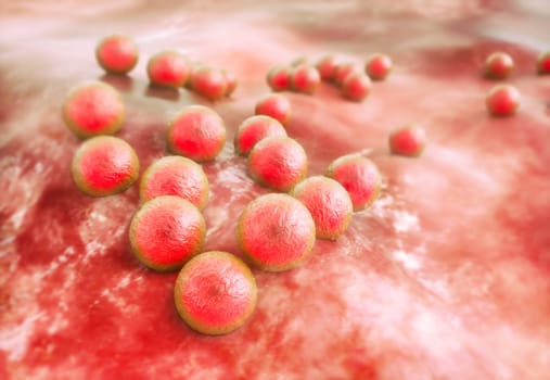 MRSA under the microscope in detailed view