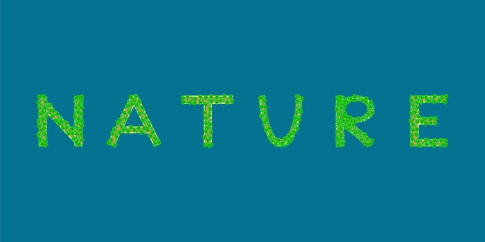 nature Tropical Islands that form the text
