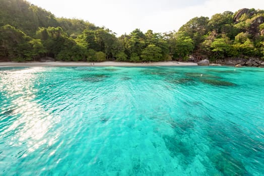 Beautiful green blue sea front small beach at Honeymoon Bay is a famous attractions for diving on Ko Miang island in Mu Koh Similan National Park, Phang Nga Province, Thailand