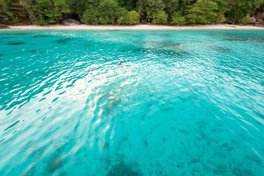 Beautiful green blue sea front small beach at Honeymoon Bay is a famous attractions for diving on Ko Miang island in Mu Koh Similan National Park, Phang Nga Province, Thailand
