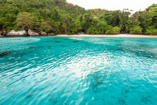 Beautiful green blue sea front small beach at Honeymoon Bay is a famous attractions for diving on Ko Miang island in Mu Koh Similan National Park, Phang Nga Province, Thailand