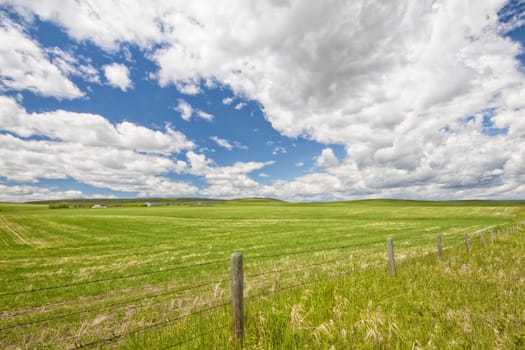 Fence line meadow landscape with fluffy clouds.