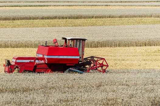 Combine harvester in a wheat field