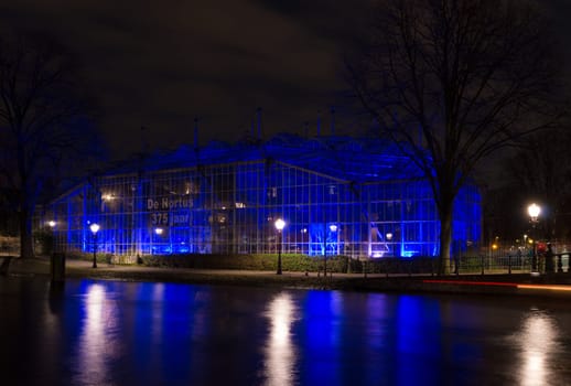light festival in amsterdam