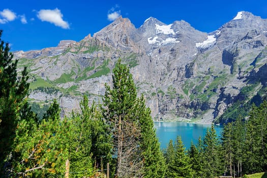 Lake Oeschinen and Mountain Forest
