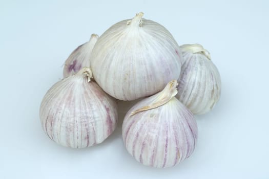 Soloknoblauch, Einzehenknoblauch