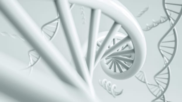 Anatomy of DNA as 3D rendering