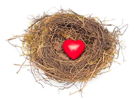 Heart in the Nest
