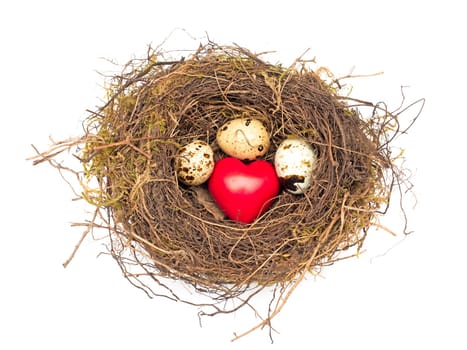 Heart and eggs in the nest
