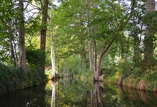 The Spree
