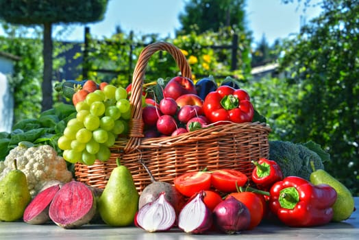 Fresh organic vegetables and fruits in the garden. Balanced diet