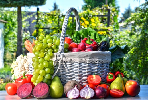 Fresh organic vegetables and fruits in the garden. Balanced diet